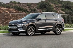 Dark gray 2022 Hyundai Santa Fe parked near an iron fence with hills with bushes in the back.