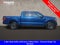 2023 Ford F-150 XLT Sport